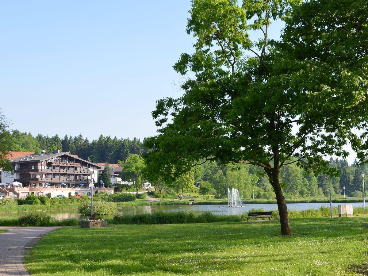 Bocksbergblick Fewo Auszeit Goslar Eksteriør billede